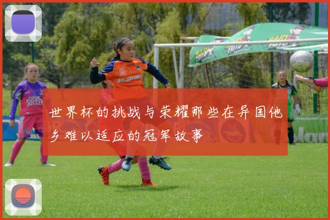 世界杯的挑战与荣耀那些在异国他乡难以适应的冠军故事